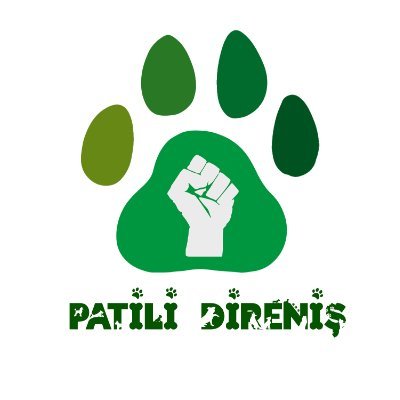 Patili Direniş