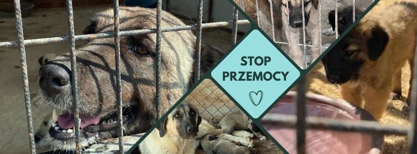 Facebook Group Cover